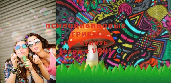 марки lsd Белокуриха
